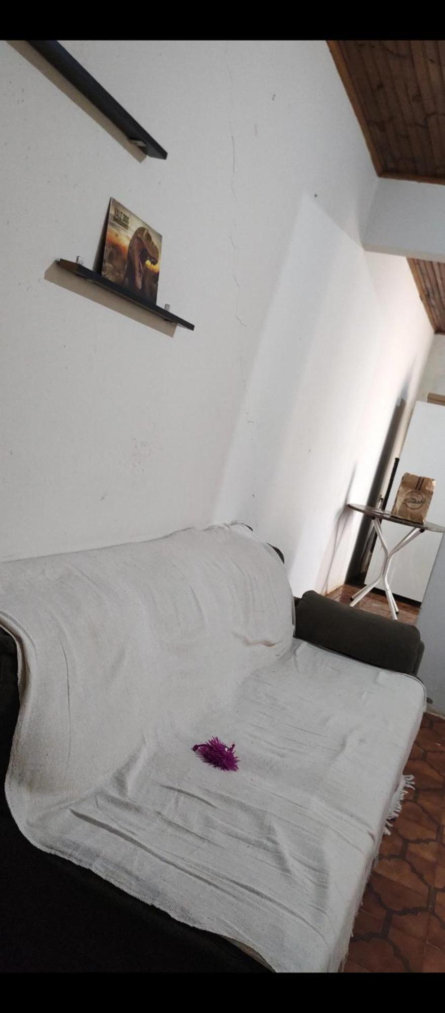 Pe De Pitanga - Unica Casa Arborizada Do Quarteirao Com Arvores Frutiferas Maringá Εξωτερικό φωτογραφία